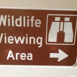 wildlife sign