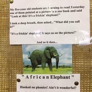 Elephant joke