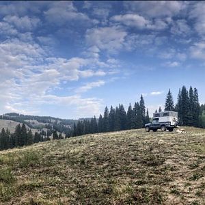 Washington Gulch livin'