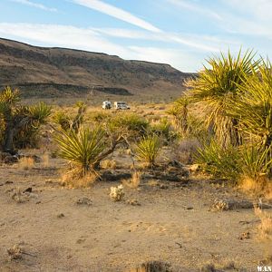 Mojave National Preserve