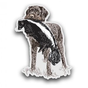 Versatile German Wirehaired Pointer