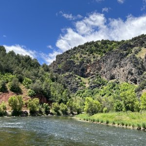 Idaho: Wetlands at Red Point campground