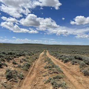 Single track red dirt road