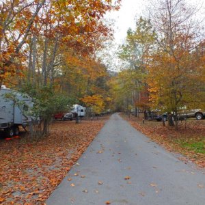 Fall folige in campground