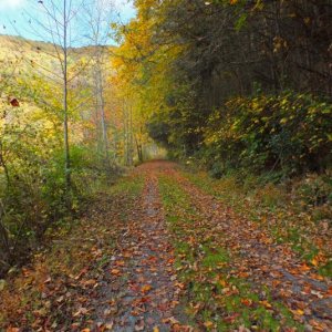 Greenbrier Rail Trail