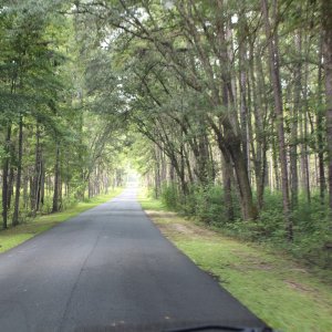 Peaceful road through the State Park