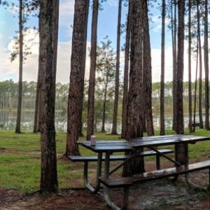 Pine Log State Park, FL