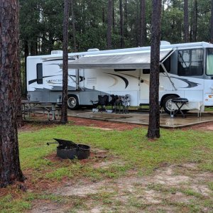 First trip, Pine Log State Park, Ebro FL.