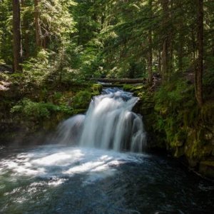 Whitehorse Falls, OR