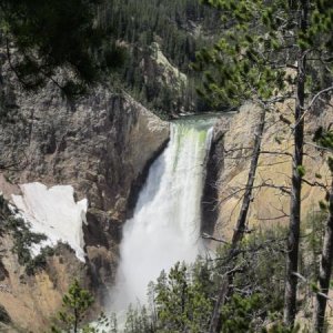 Lower Falls, Yellowstone