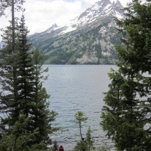 Jenny Lake