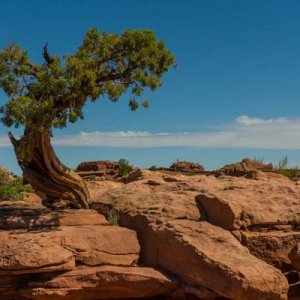 Dead Horse Point State Park, UT