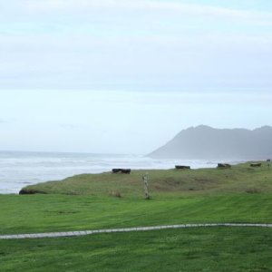 Oregon Coast