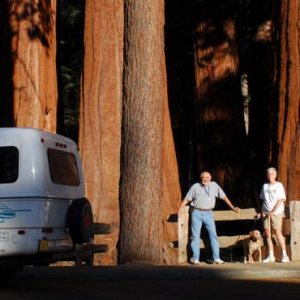 In Sequoia/Kings Canyon National Parks