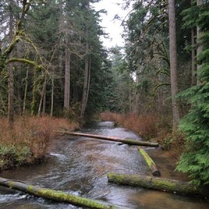 Silver Falls SP, OR