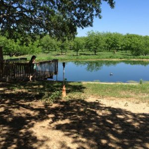 Pond near Medina River, Bandera TX