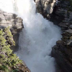 Athabasca Falls