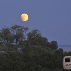 Blood Moon, Edgewood, NM