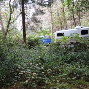 Camped at Charles G. Washburn SP, south of Yachats OR. 10.06.2015