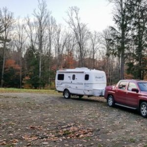 Ossian State Forest, NY.