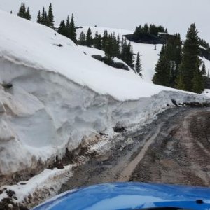 Governor Basin - Ouray CO