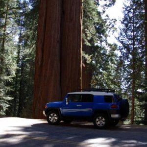 Sequoia National Park