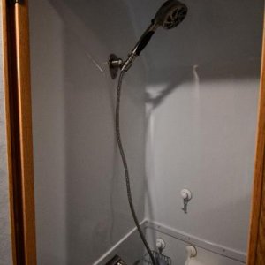 Shower Diverter Replaced