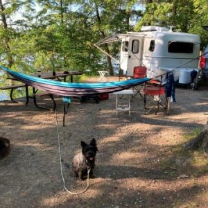 Another campsite on the shore. Tiller keeps the campsites chipmunk free.