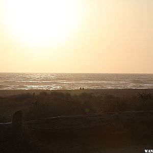 Gold Bluffs Beach May 2009