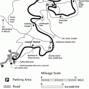 Mariposa Grove Map - Yosemite National Park