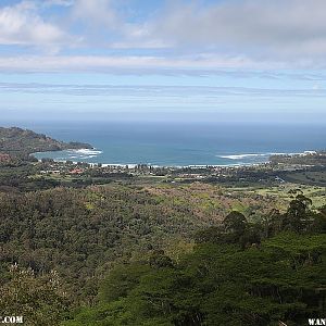 Hanalei Okolehao Trail