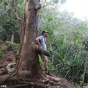 Taking a well-deserved rest - Hanalei Okolehao Trail