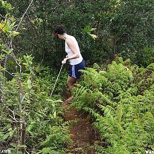 Rope Sections - Hanalei Okolehao Trail