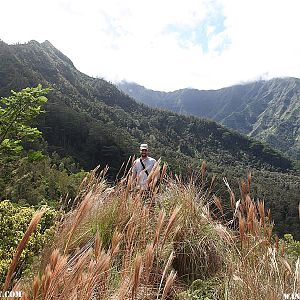 Hanalei Okolehao Trail