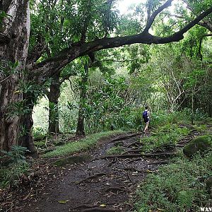 Hanakapi`ai Falls Trail