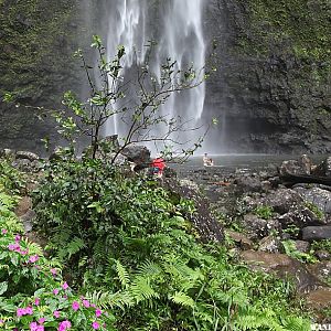 Hanakapi`ai Falls Trail