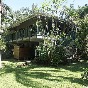 Our Jungle Cottage outside of Hanalei