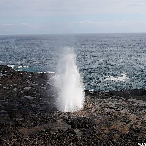 Spouting Horn - Poipu