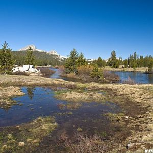 Tuolumne Meadows