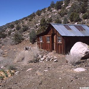 Stay in this cabin