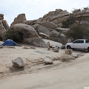 Hidden Valley Campground