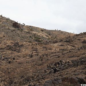 Lost Horse Mine Trail