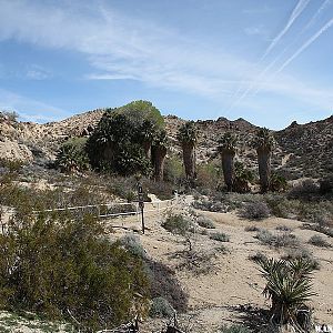 Cottonwood Spring