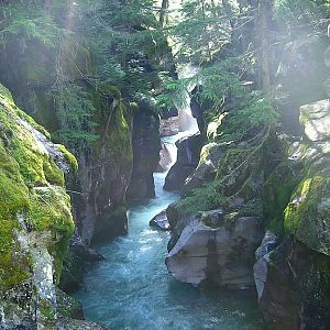 Avalanche Creek - Glacier National Park - Courtesy of Wikipedia