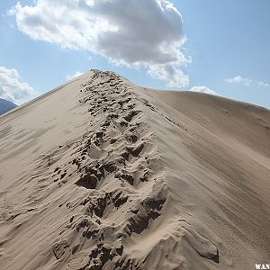 Kelso Dunes