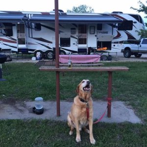 Campsite at El Dorado State Park KS