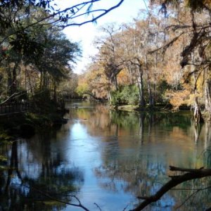 Manatee Spring Run