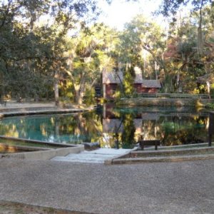 Juniper Springs