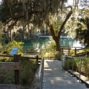 Fanning Springs Swim Area