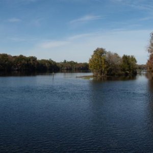 Suwannee River @ Manatee Springs